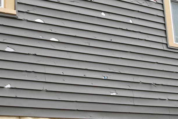 How To Choose The Right Materials for Your Siding Installation in 'Floydada, TX